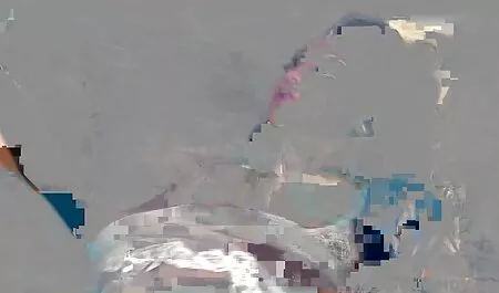 Nga, con trai, phim sec nguoi va ngua bạn gái, trước mặt các camera